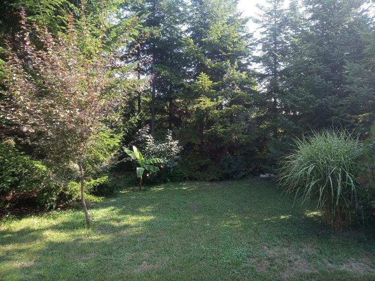 Park Vendeghaz Ξενοδοχείο Herend Εξωτερικό φωτογραφία